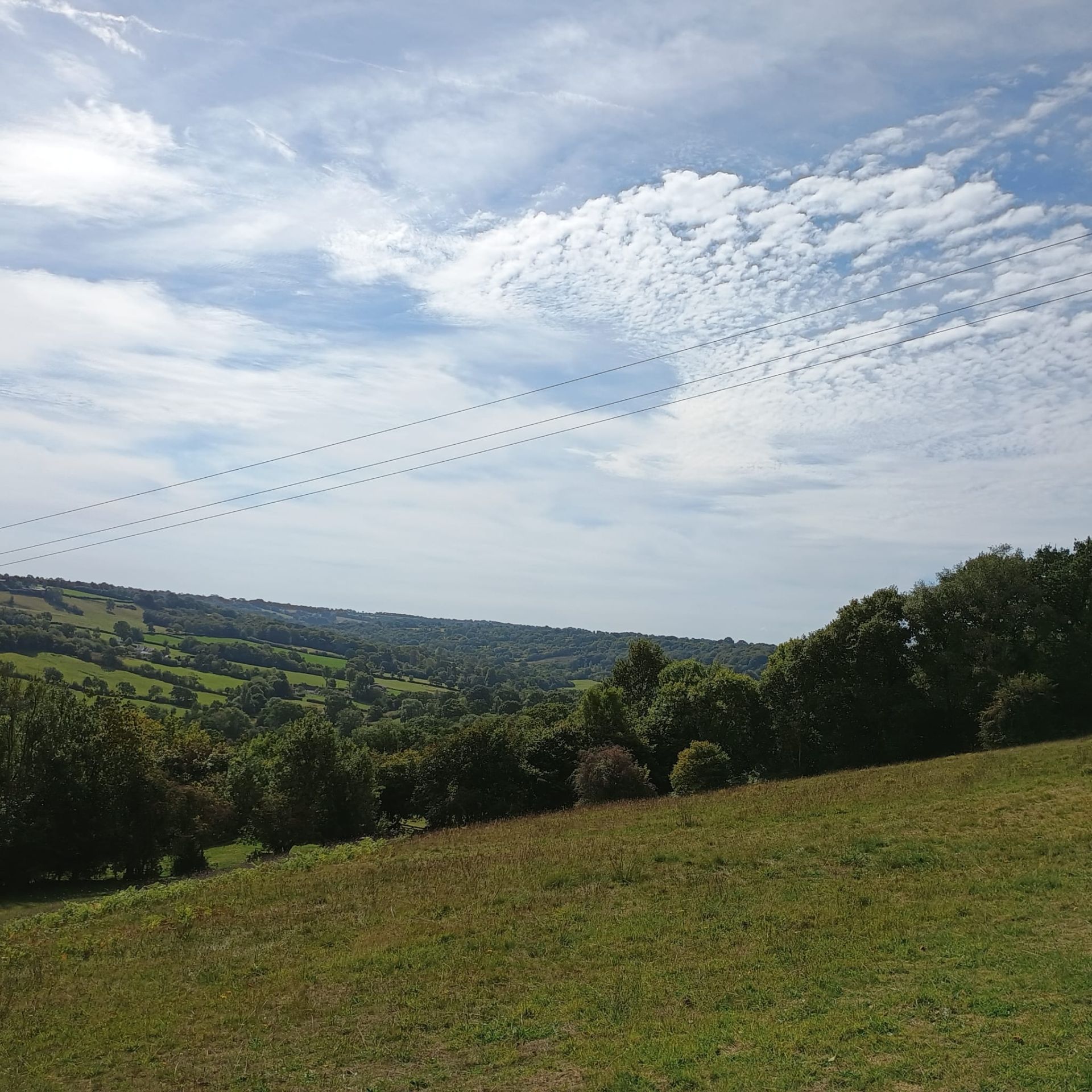 View of field and hill
